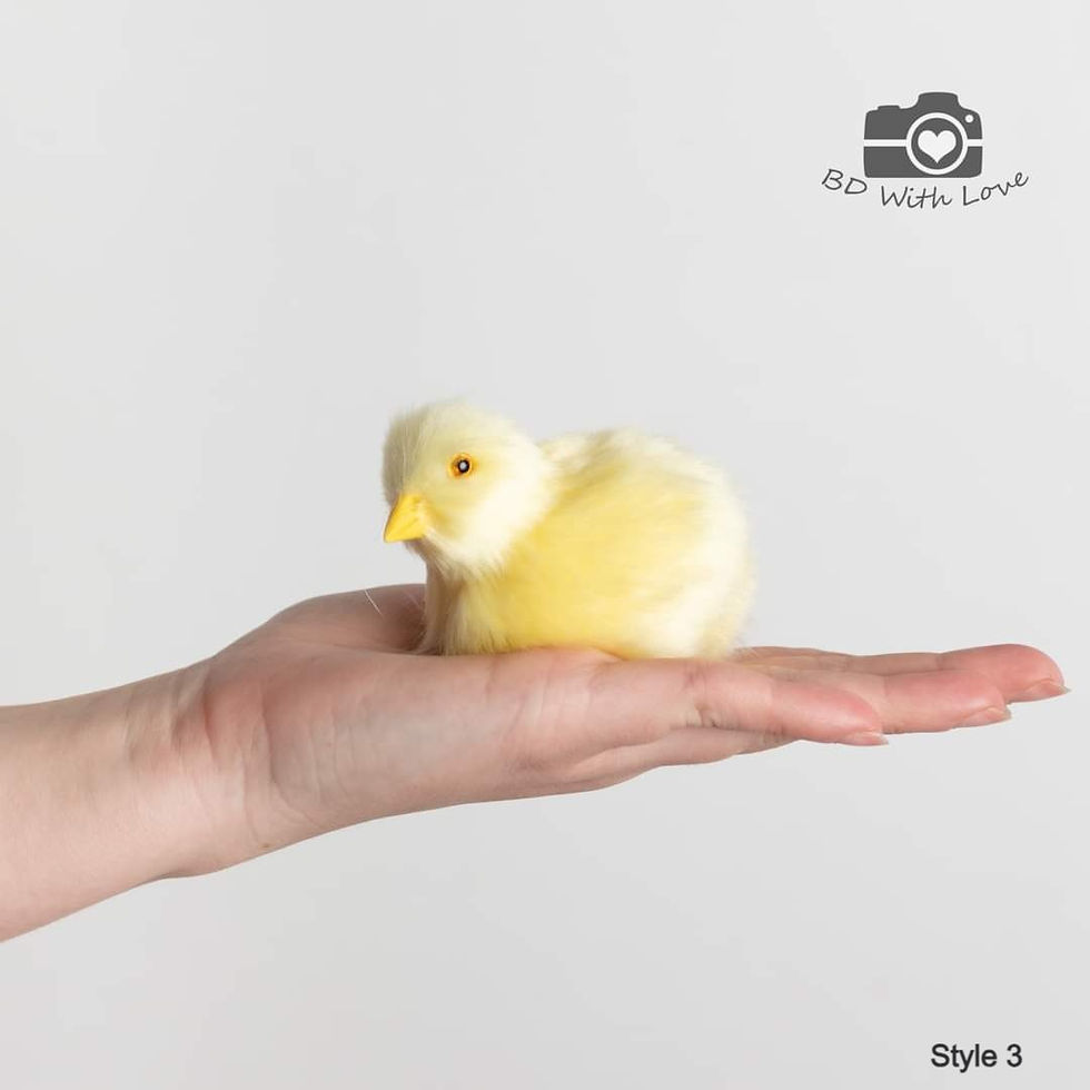 Thumbnail: Faux chicks