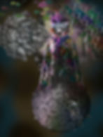 The Madonna of the Cosmic Herbarium