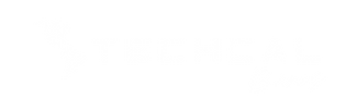 TECHCAL - Artes.png
