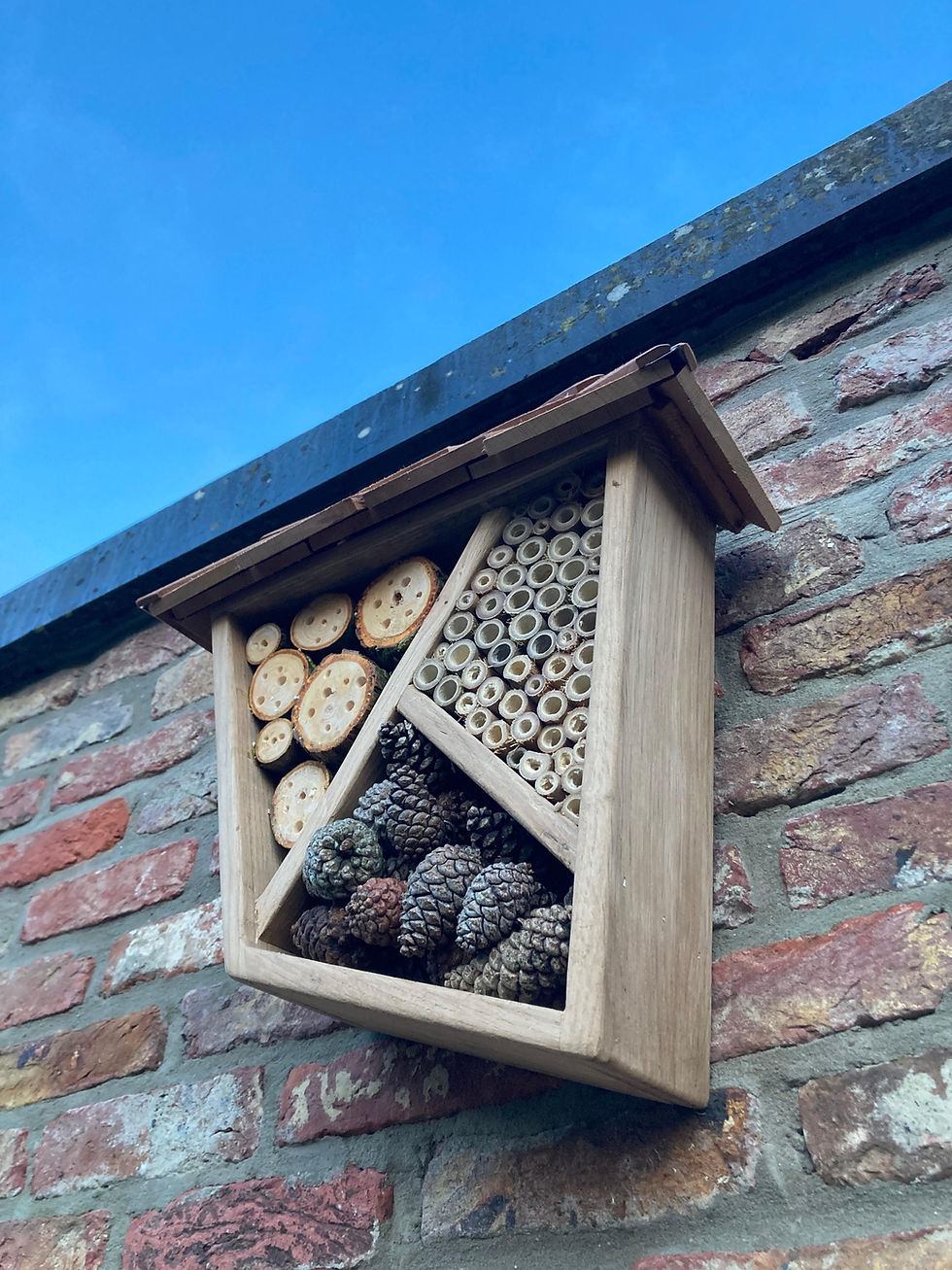 Thumbnail: Insectenhotel