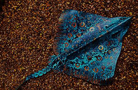 WhatsApp Image 2025-09-02 at 16_edited_edited.jpg