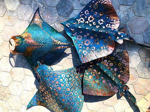 WhatsApp Image 2025-09-02 at 16.29_edited.jpg