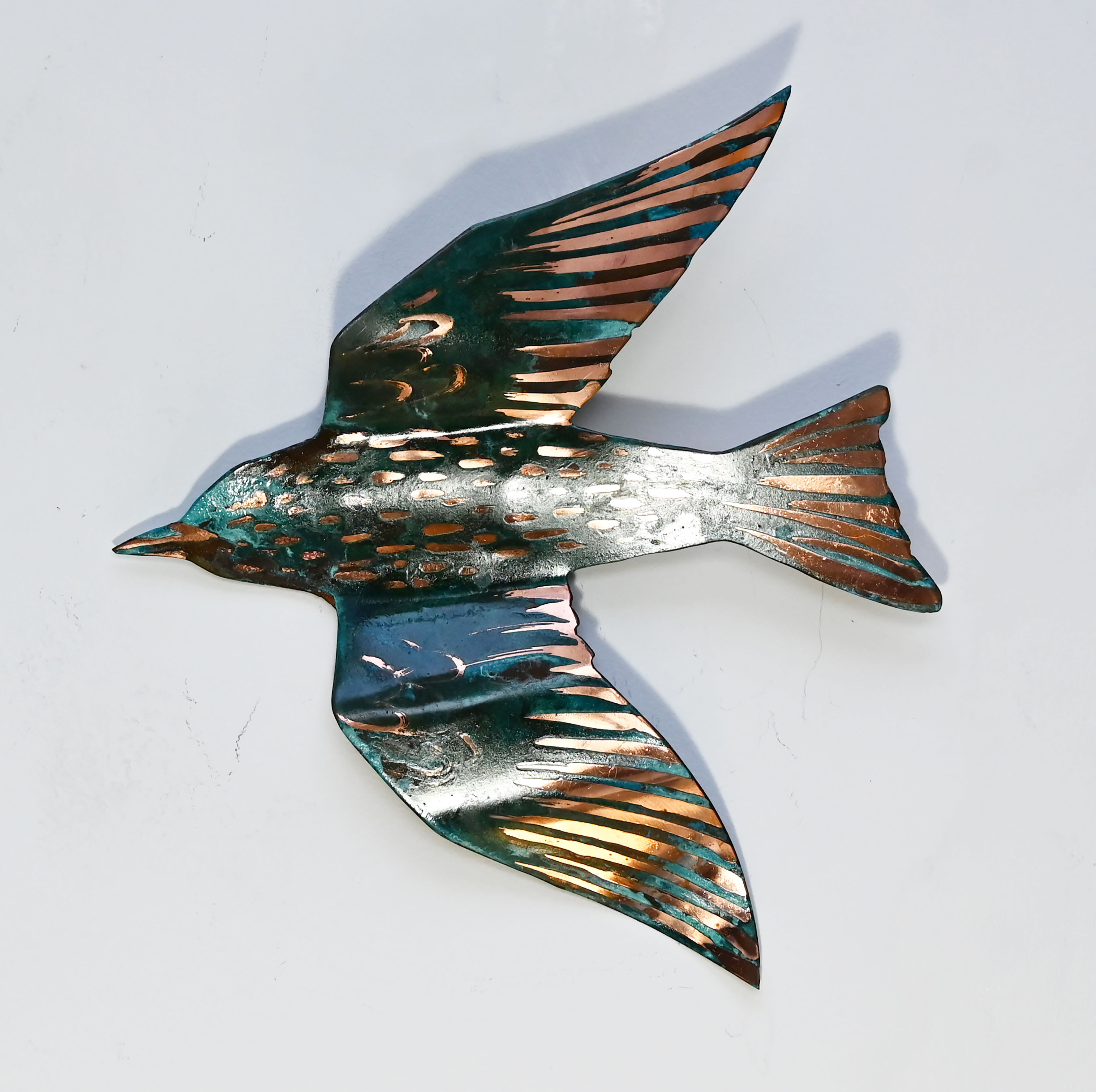 Copper Starling in Flight (3)