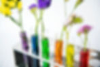 Image by rawpixel.com on Freepik