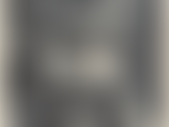 Was there a Diversionary Action to Allow the Snipers to get into Position?