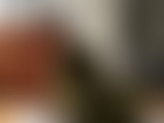 See the wood for the trees...