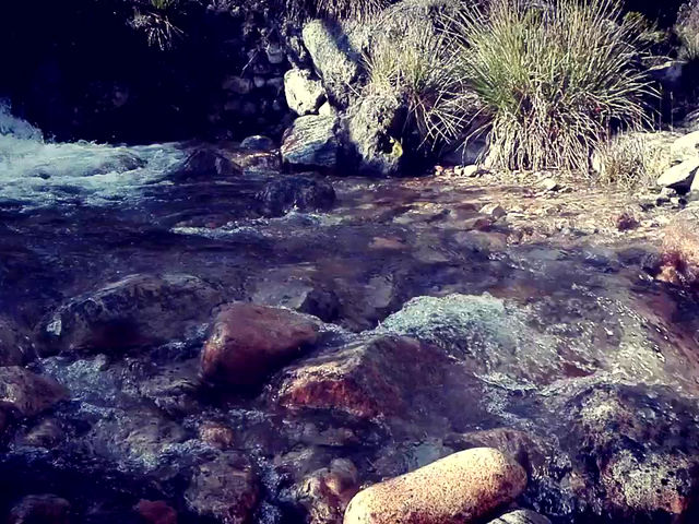 ¡Agua bendita!