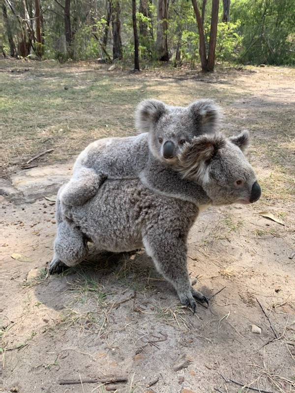 Mum is not shy but bub is not so sure, yet.