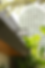 Screenshot 2025-05-19 at 13.17.22 (1).png