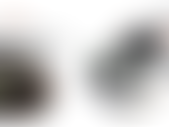 Brushless Motor / ESC