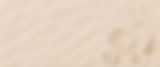 GNF 26 sand bkgrnd1.jpg