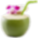 GNF26coconut.png