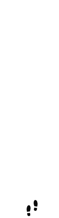 未标题-5.gif