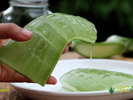 Cómo preparar champú sólido natural de aloe vera paso a paso