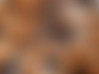 Impondrán multas de hasta 250 euros por tirar colillas en Portugal