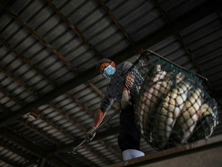 Los mercados de alimentos frescos de Wuhan luchan para sobrevivir tras el coronavirus