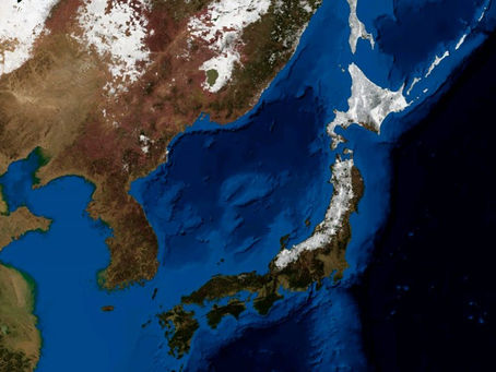 Crean en Japón app que adelanta el daño que sufrirá un edificio por un sismo