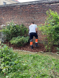 Taille et nettoyage des parterres.