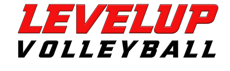 LevelUp VBALL.png
