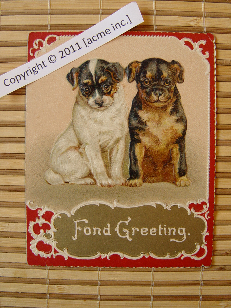 http://www.acme-inc.co.uk/greetingscards/DSC05469.jpg