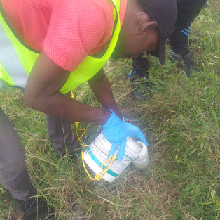 EMP Environmental Monitoring Amazonia 2022