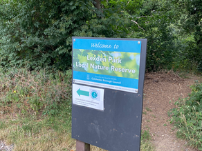 Discovering Lexden Park Nature Reserve: A Hidden Gem for Dog Walking