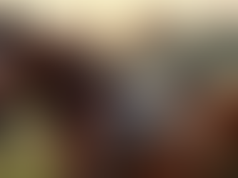 Tips for Hiring a Showing Saddle in the UK