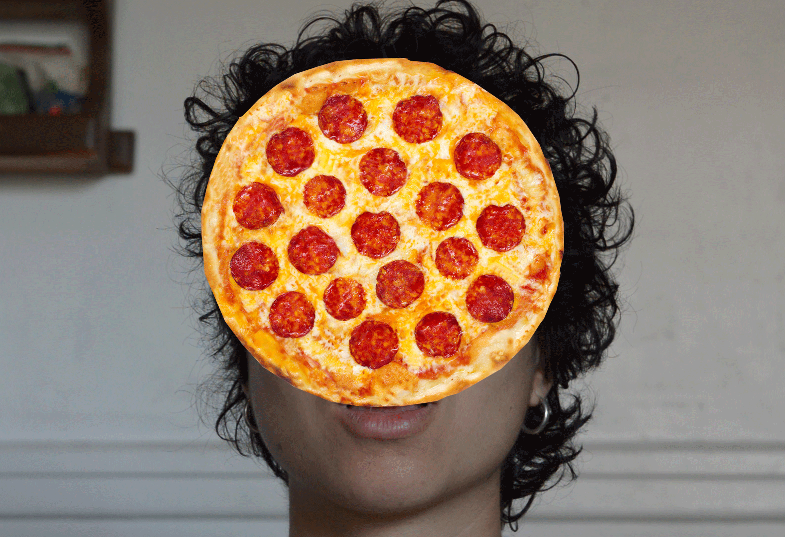 stupid-pizza-gif.gif