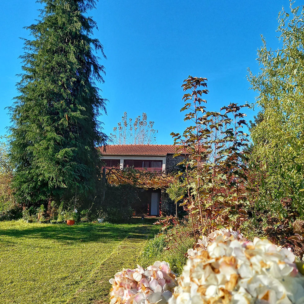 20211106_095549-01