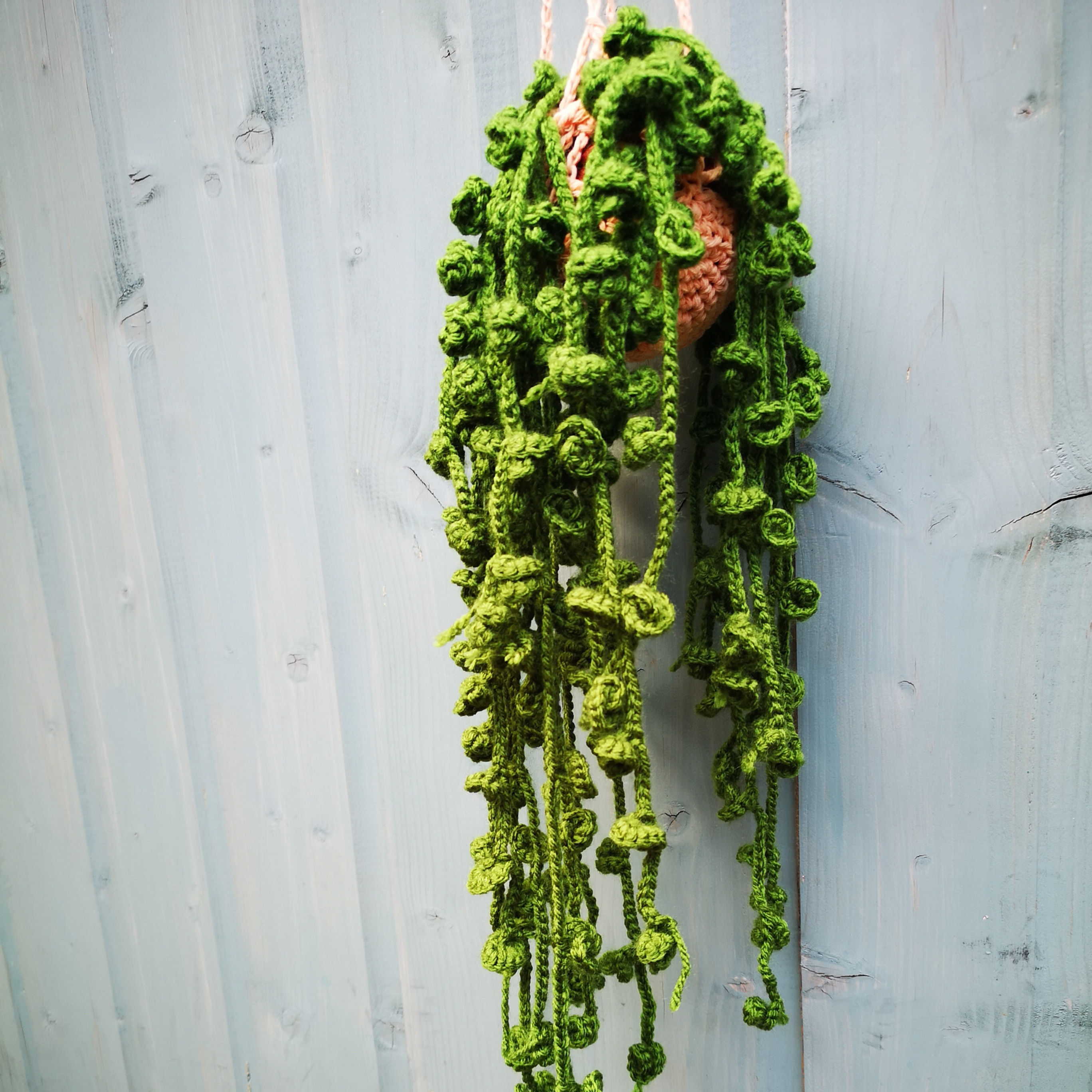 Trail of buds crochet hanging plant pattern