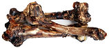 Deer Bone.jpg