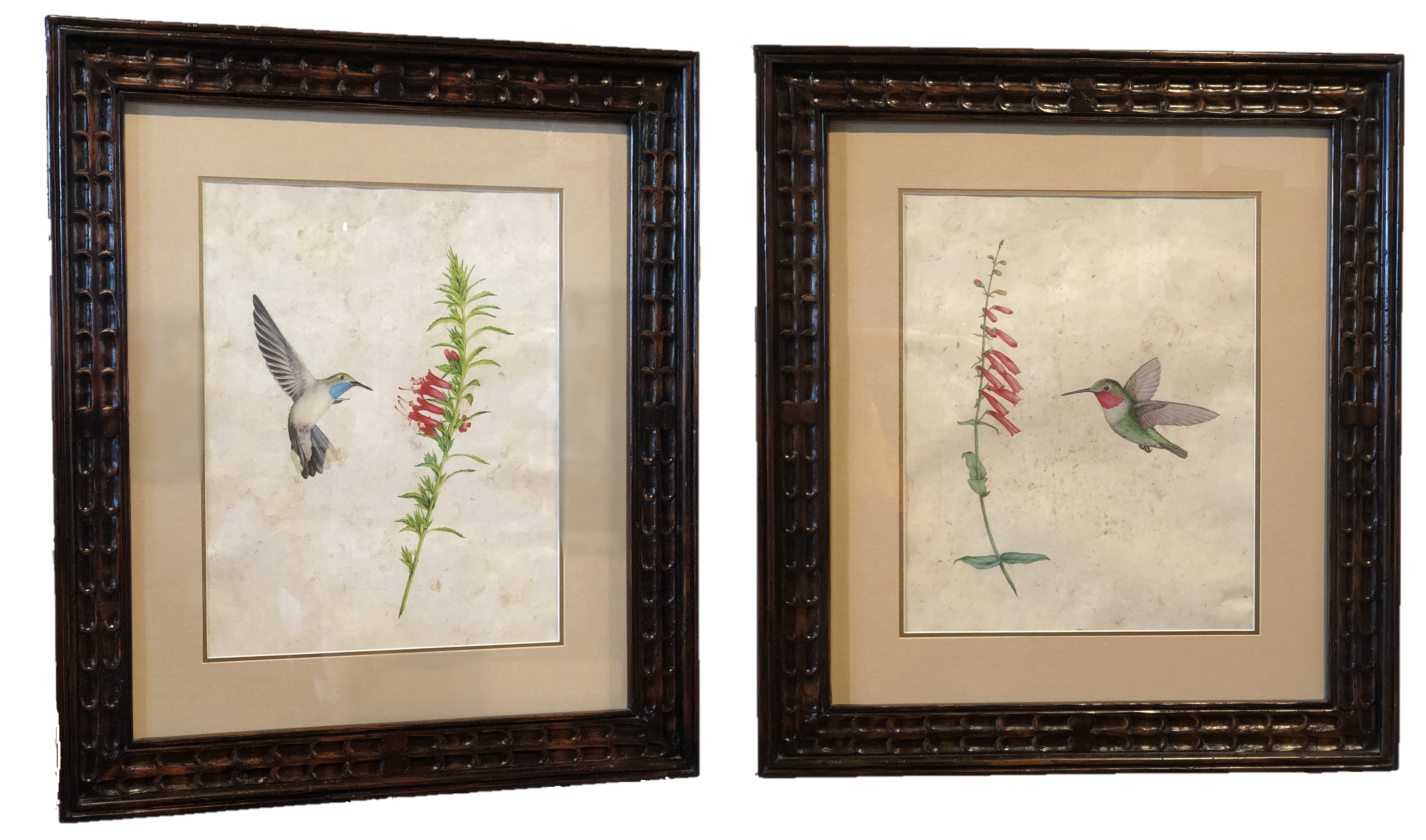 Botanicals giclees