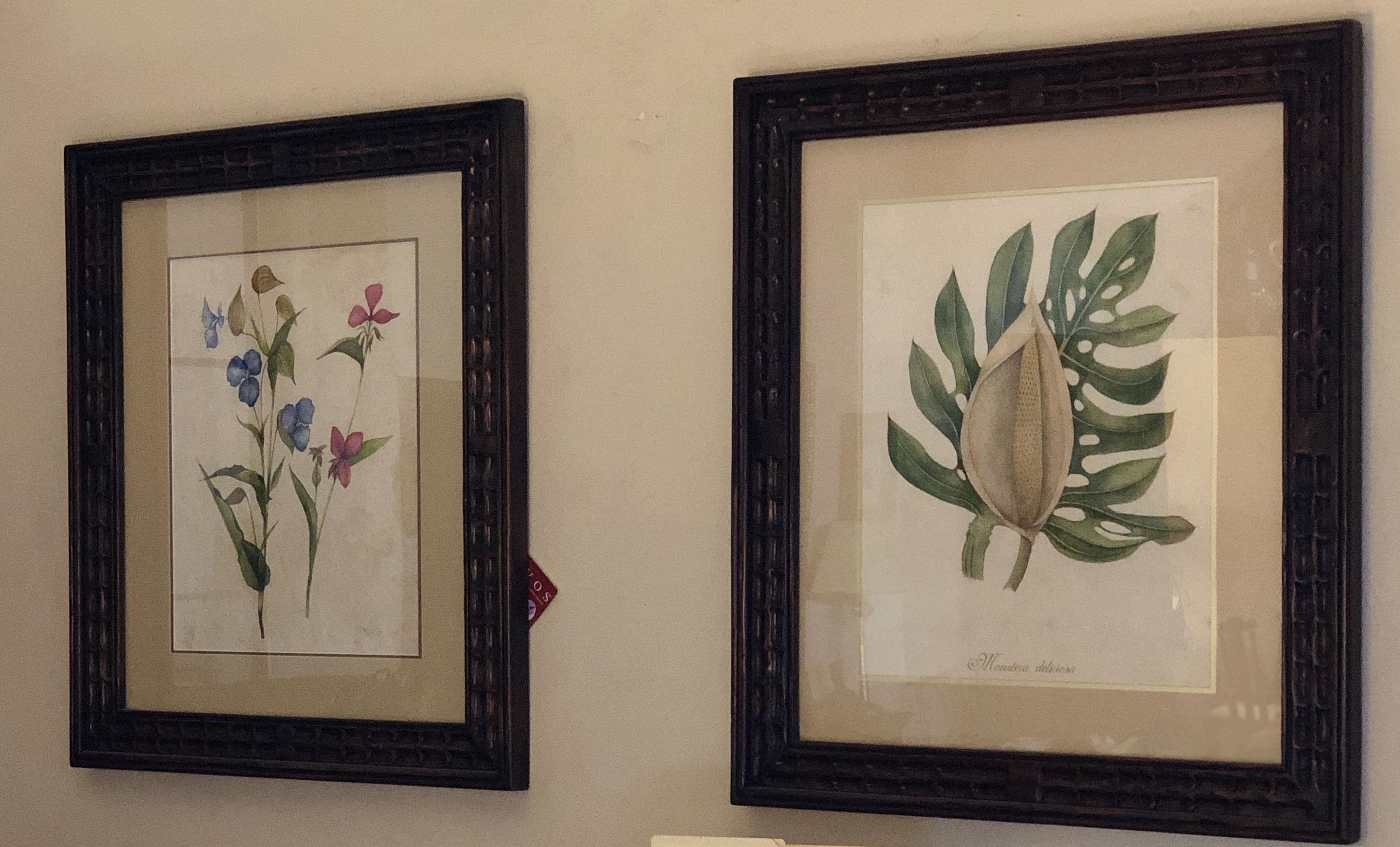 Botanicals giclees