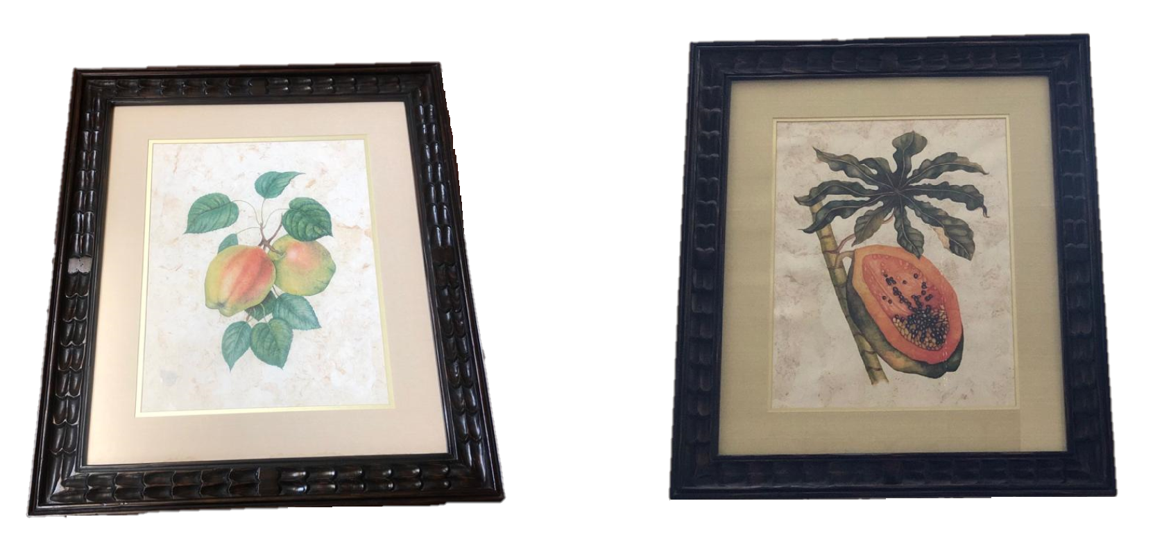 Botanicals giclees