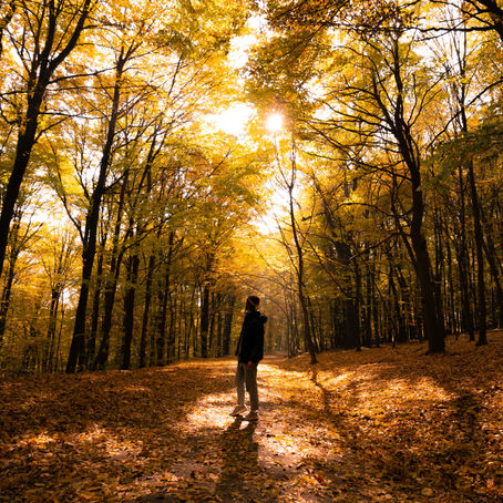 15 WEIRD and EPIC THINGS TO DO IN BRATISLAVA, SLOVAKIA