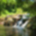 creek1