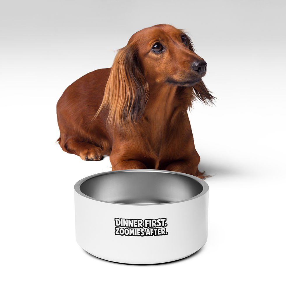 Thumbnail: Funny Dog Bowl | Dinner First Zoomies After Stainless Steel Pet Bowl
