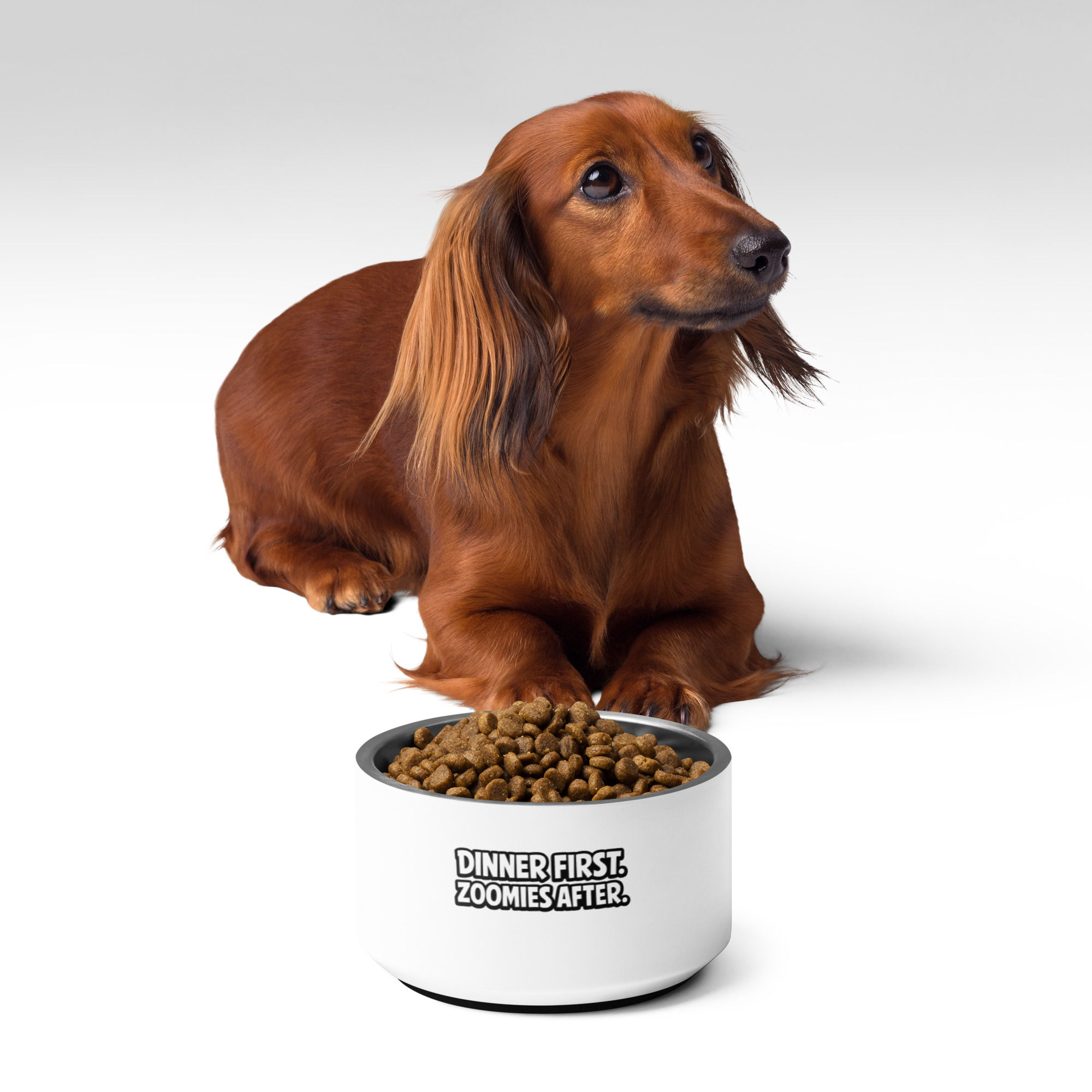 Funny Dog Bowl | Dinner First Zoomies After Stainless Steel Pet Bowl