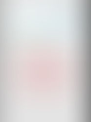 Nasce la collaborazione con lo Studio Metamorphosis