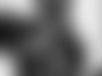 Embracing Movement: A Journey into the Heart of Life