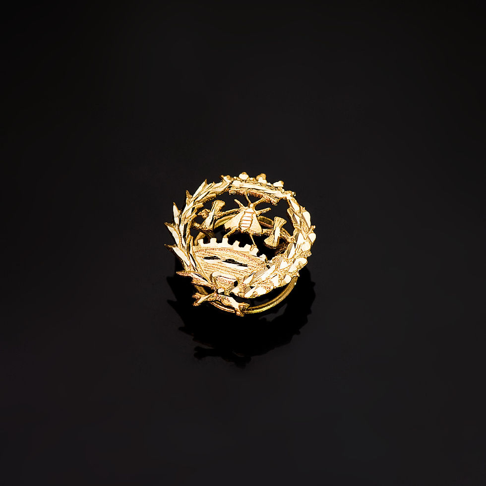 Miniatura: 18k Insignia Oro Amarillo Ciencias Economicas 18 X 17 Mm