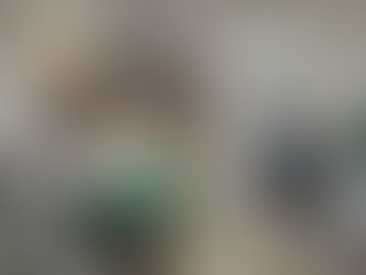 Prefeitura amplia Meu Amigo Pet, maior programa de saúde animal de Alagoas