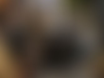 Ouvir música ou comer o juízo do povo? MPAL fiscaliza perturbação do sossego em Arapiraca e Maceió