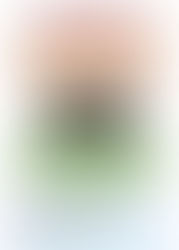 ふくろくだより　2025年　特別号