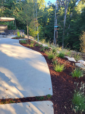 Ornamental grass installation chapel hill, carrboro, durham, hillsborough, pittsboro