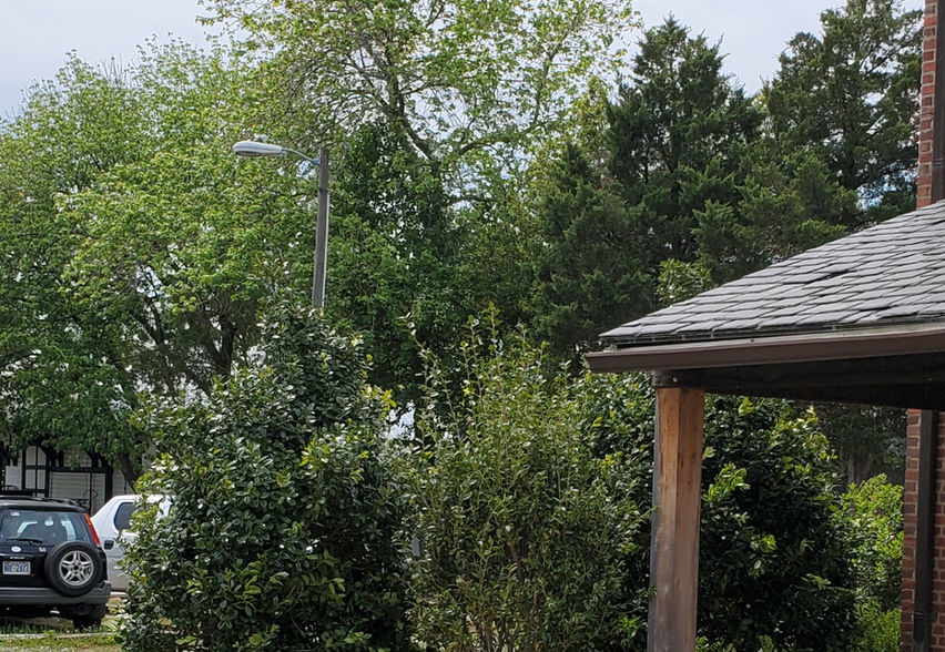 Big shrub installation chapel hill, nc