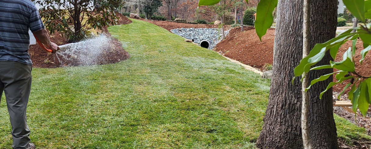 fescue sod day of install being watered by one of the guys
