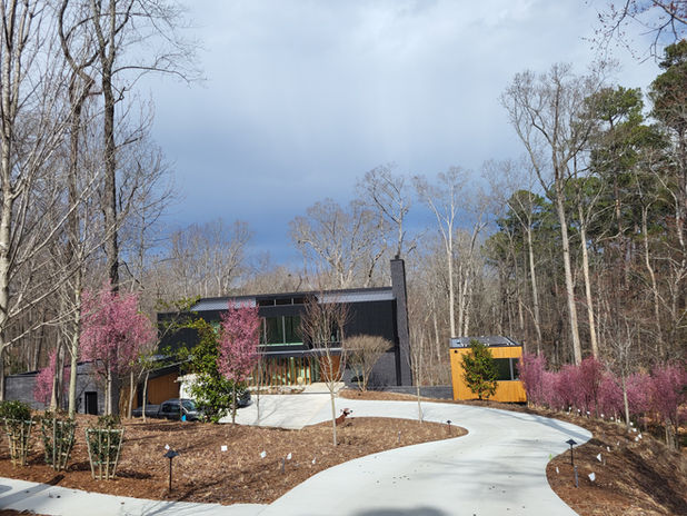 Celestial Landscaping plants big trees in chapel hill and the surrounding areas