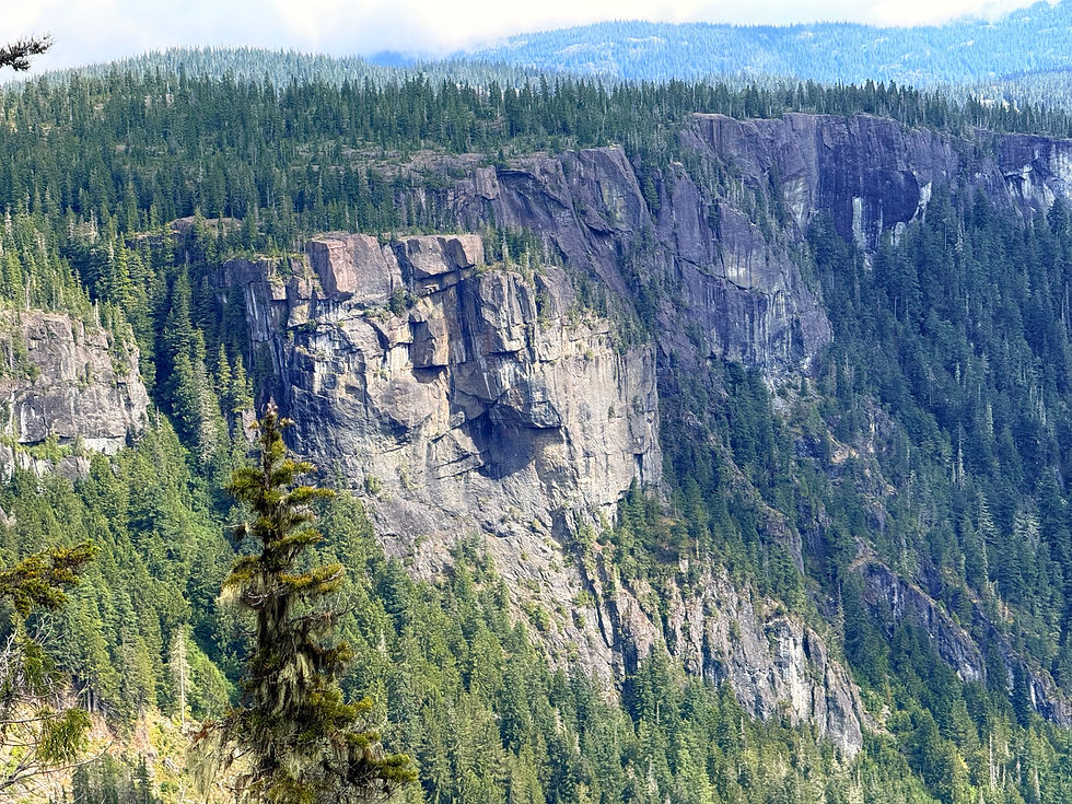 Cruickshank Canyon is actually this entire valley, but known for this dramatic sheer cliff of rock. It can be accessed via a detour along the Kwai/Croteau/Battleship Lakes trail, but in my opinion, the best view is from this direction! That was we get to scope out some climbing opportunities 😁.