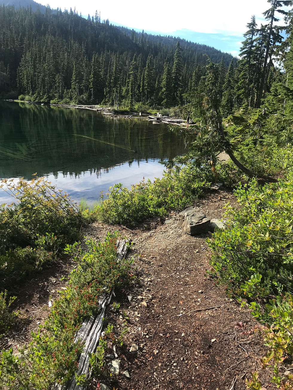 More shots of the shore. Funny how on both our Forbidden Plateau trips, Day 2 is always clearer than Day 1. Lucky, I guess.